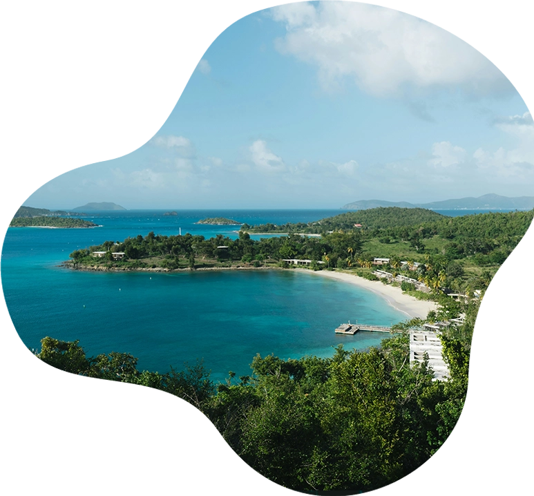 Antigua & Barbuda_Bean