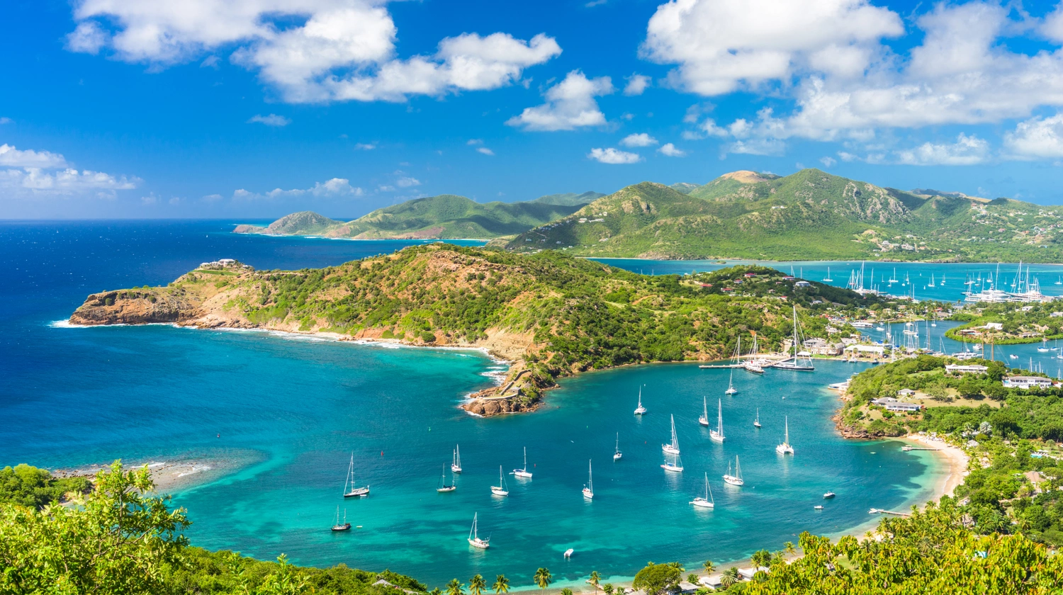 IVM-Antigua-header-banner-mobile