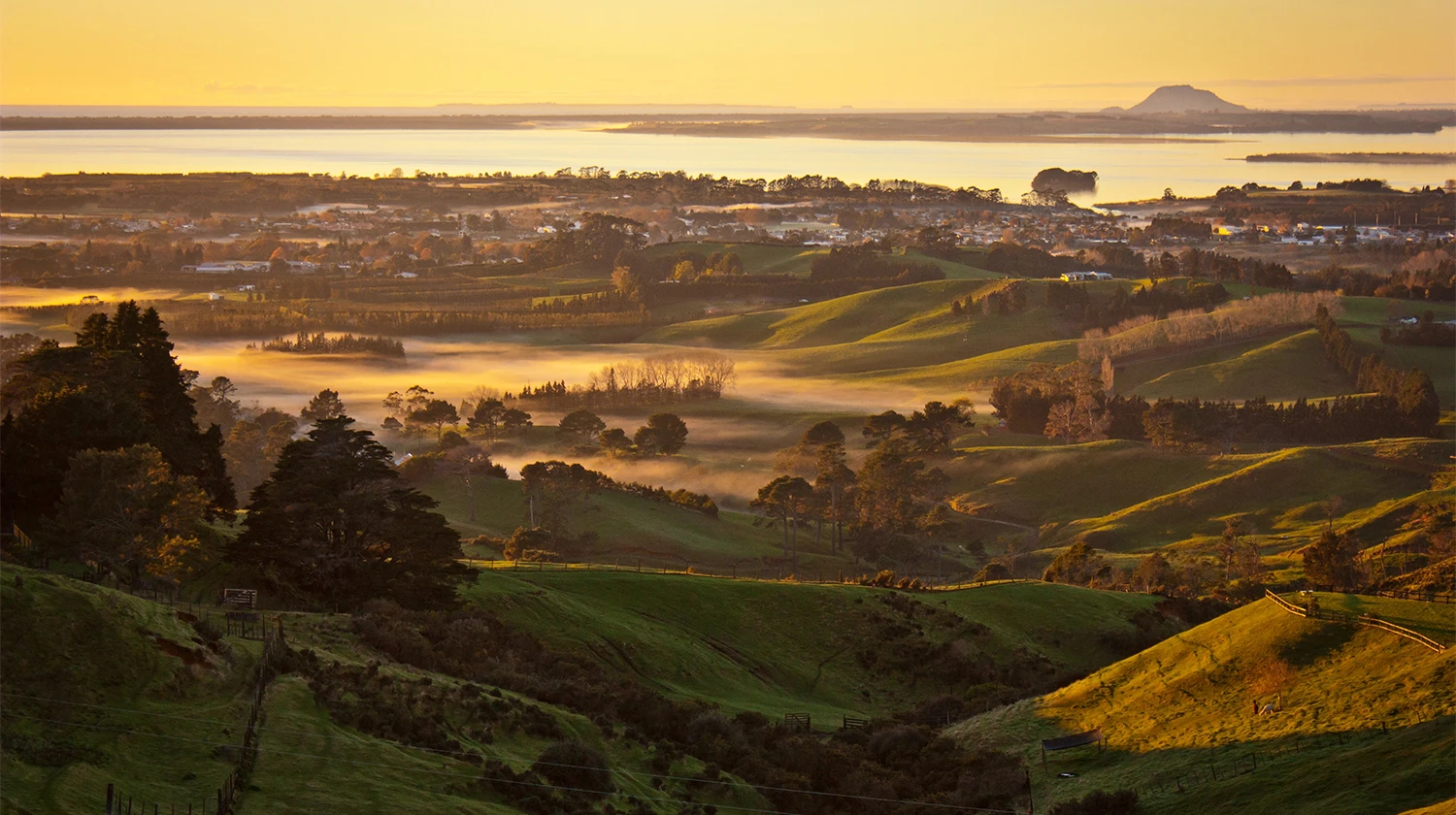 New-Zealand-header-banner-mobile