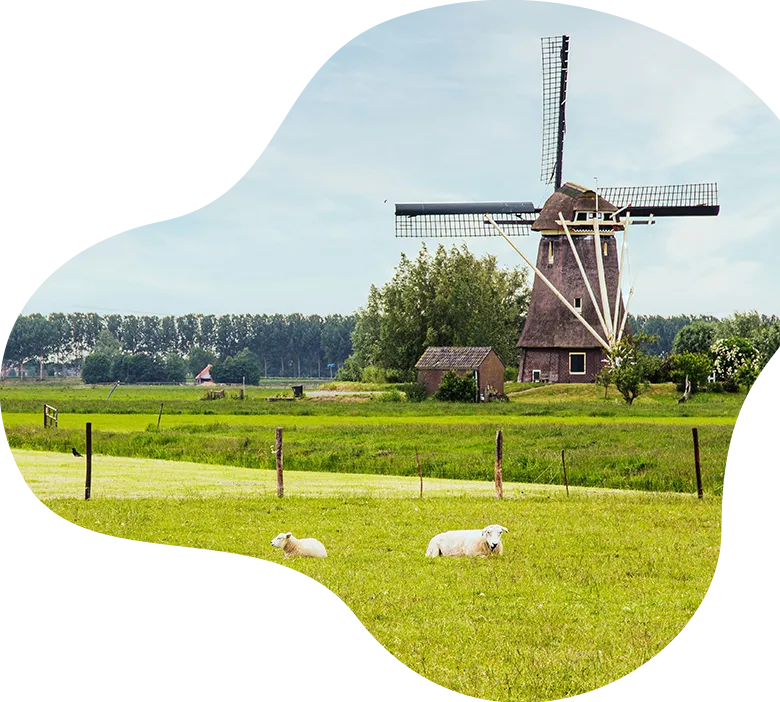 SAB_Netherlands