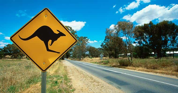 Kangaroo road sign by an empty road
