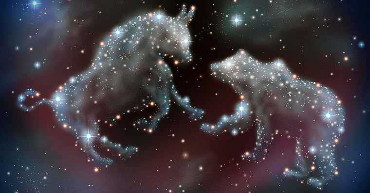 Bull and a bear made out of stars