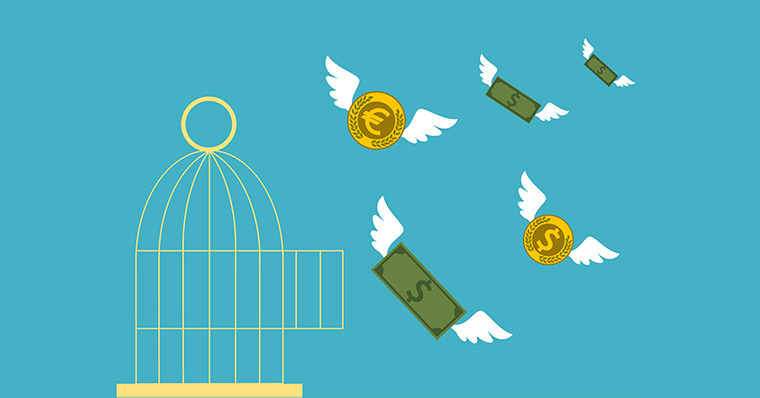 Dollars and Euros flying out of birdcage