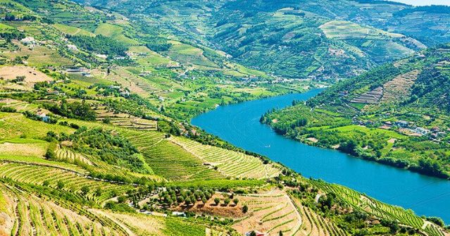 Douro valley Douro valley