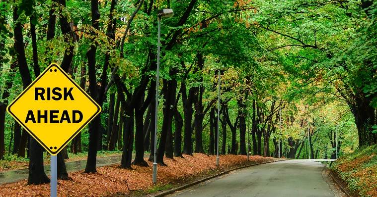 Risk ahead sign amidst road lined with trees