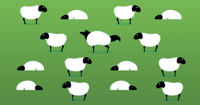 Wolf hiding as a sheep