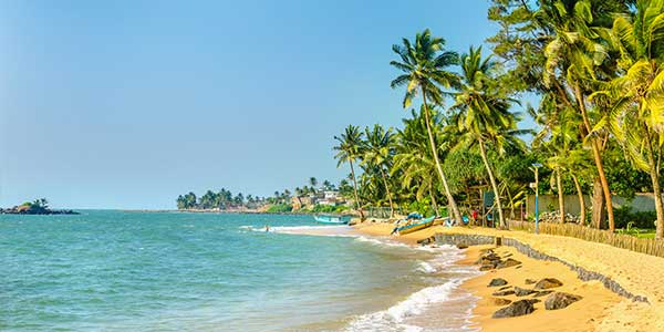 Exotic Caribbean beach full of palm trees - Grenada Exotic Caribbean beach full of palm trees - Grenada