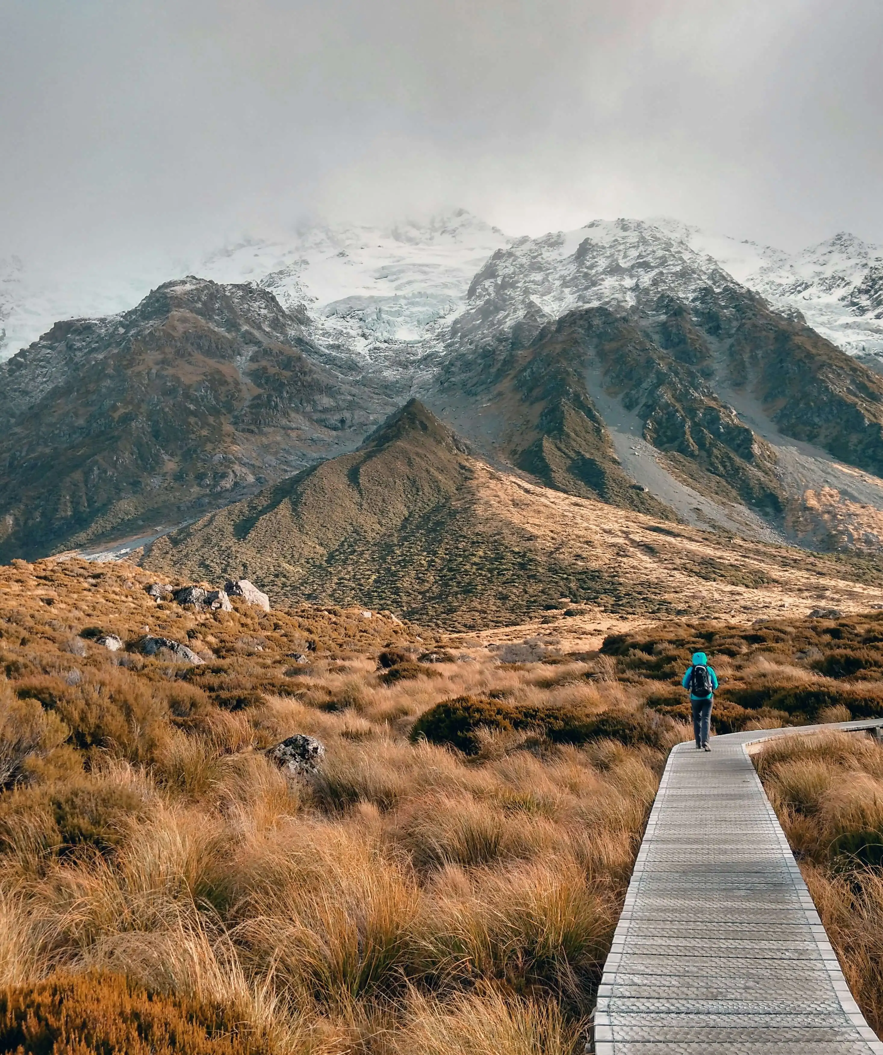 nik-shuliahin-UPapS5-R_rk-unsplash