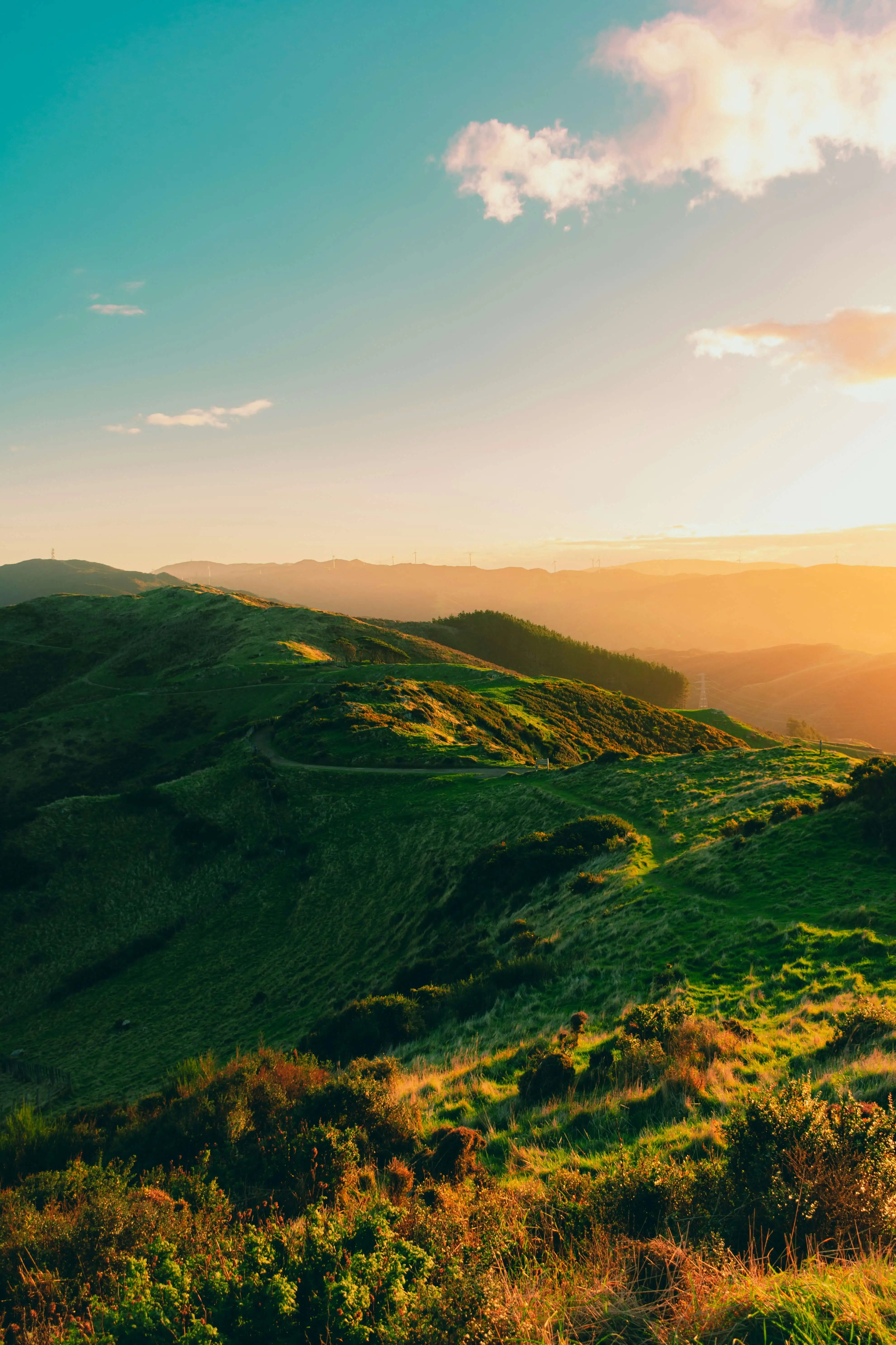 wellington-new-zealand